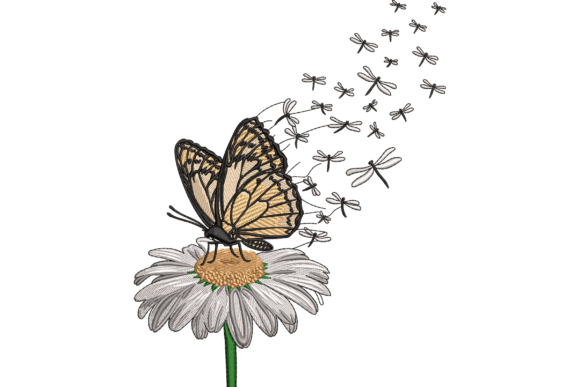 Reviewing Butterfly and Daisy for Small Business Merch